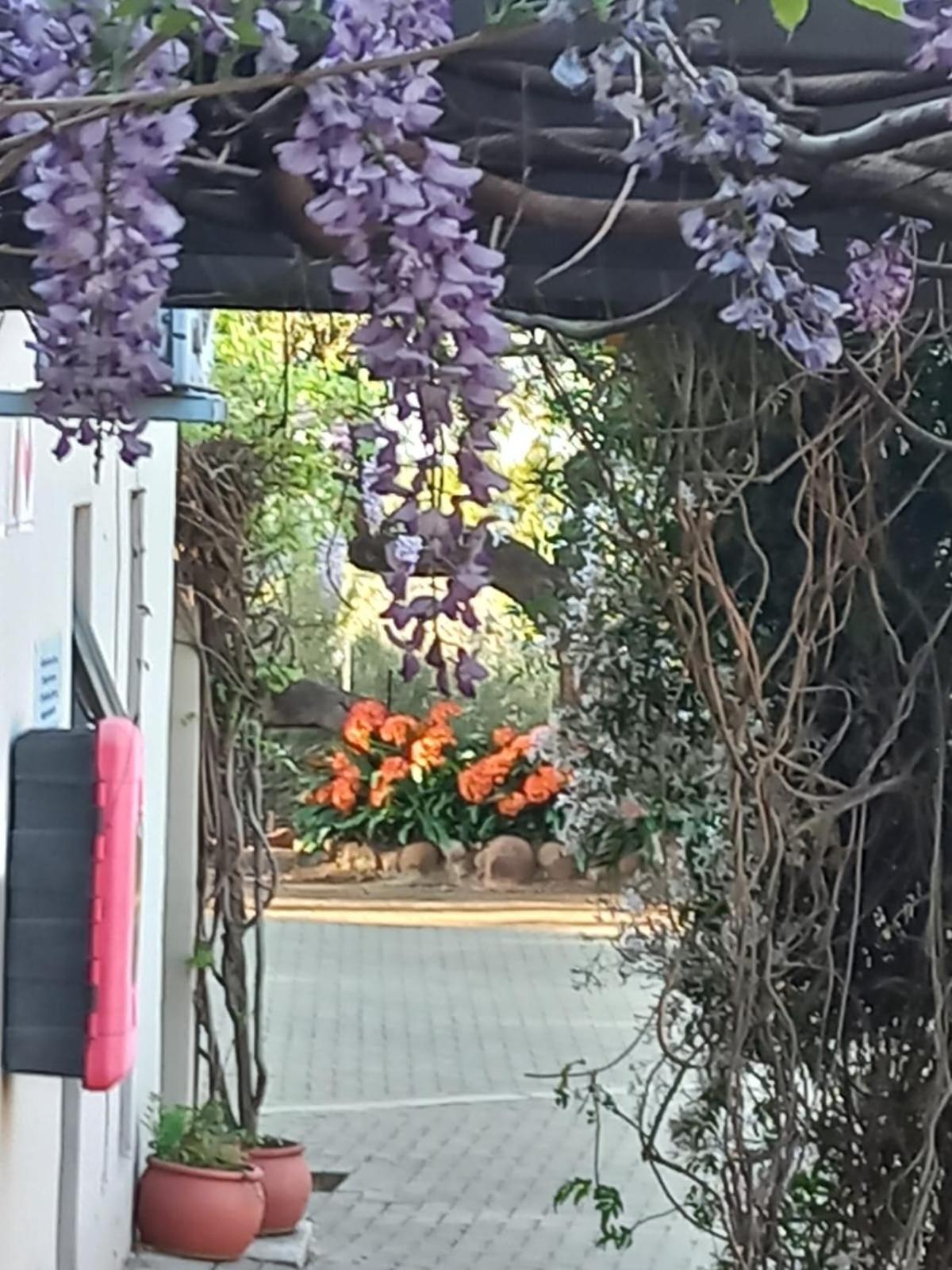 A Little Guesthouse Блоемфонтейн Екстериор снимка